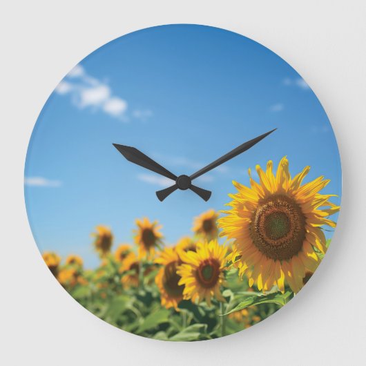 Sunflower field grote klok (Voorkant)