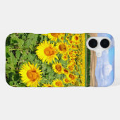 Sunflower field iPhone hoesje (Achterkant horizontaal)