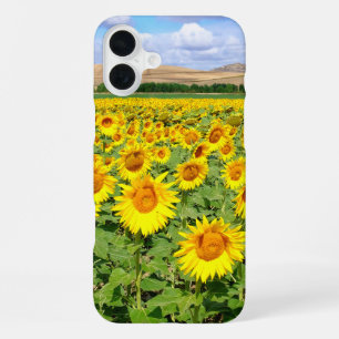 Sunflower field iPhone 16 plus hoesje