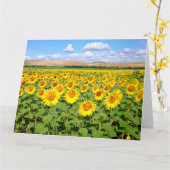 Sunflower field kaart (Gele Bloem)