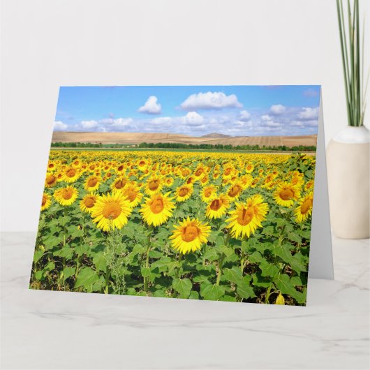 Sunflower field kaart (Voorkant)