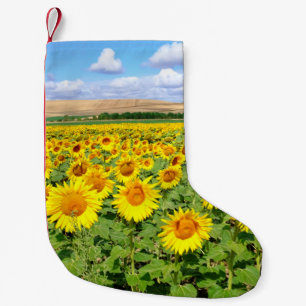 Sunflower field kleine kerstsok