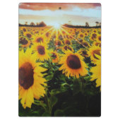 Sunflower field klembord (Achterkant)