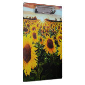 Sunflower field klembord (Rechts)