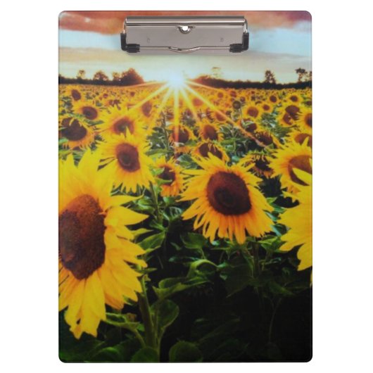 Sunflower field klembord (Voorkant)