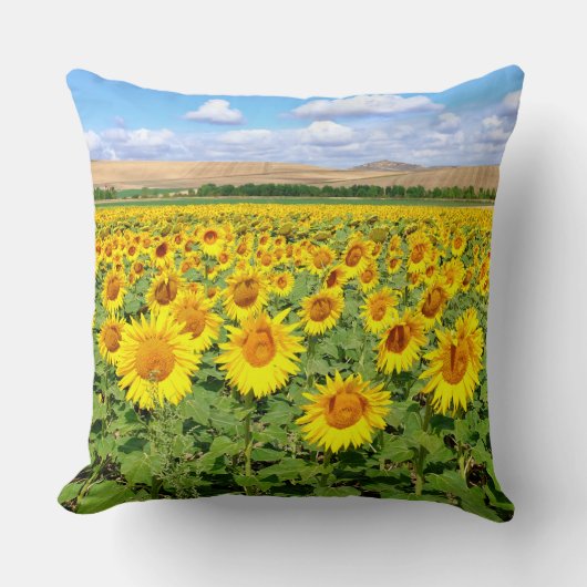Sunflower field kussen (Voorkant)
