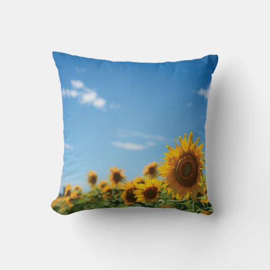 Sunflower field kussen (Voorkant)