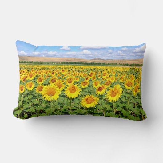 Sunflower field kussen (Voorkant)