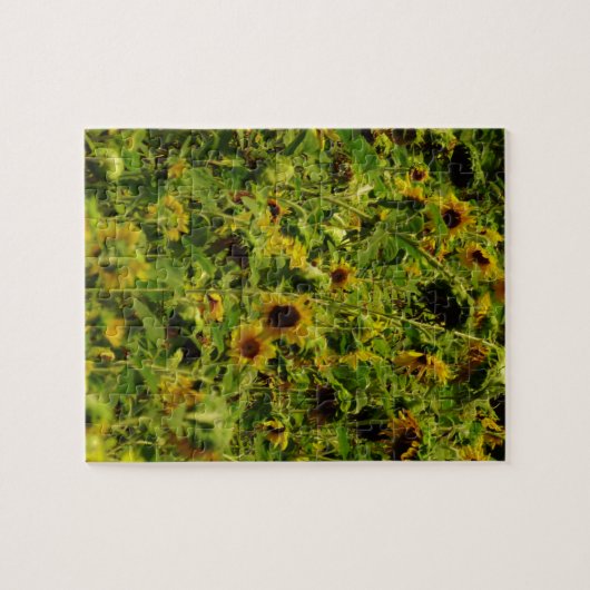 Sunflower field legpuzzel (Horizontaal)