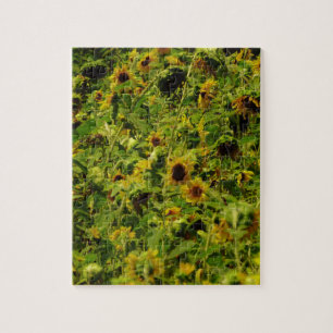 Sunflower field legpuzzel