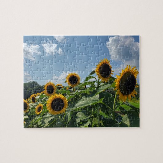 Sunflower field legpuzzel (Horizontaal)