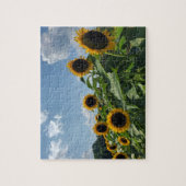 Sunflower field legpuzzel (Verticaal)