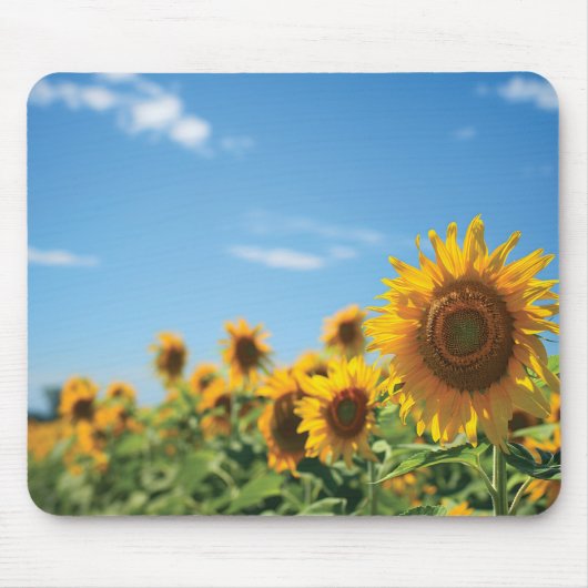 Sunflower field muismat (Voorkant)