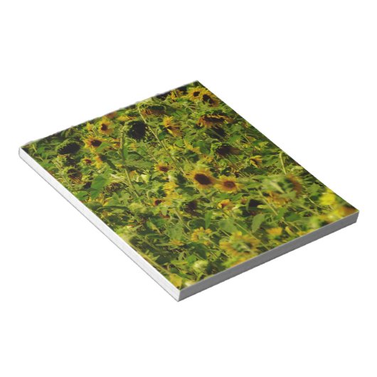 Sunflower field notitieblok (Schuin)