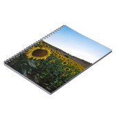 Sunflower field notitieboek (Linkerzijde)