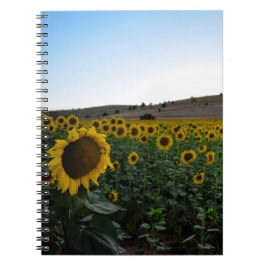 Sunflower field notitieboek