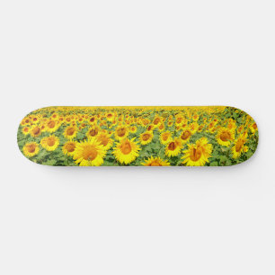 Sunflower field persoonlijk skateboard