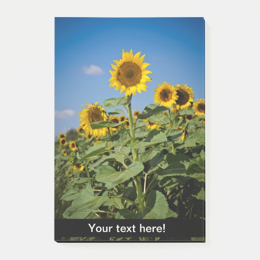 Sunflower field post-it® notes (Voorkant)