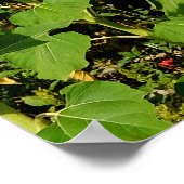 Sunflower field poster (Hoek)