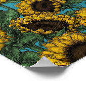 Sunflower field poster (Hoek)