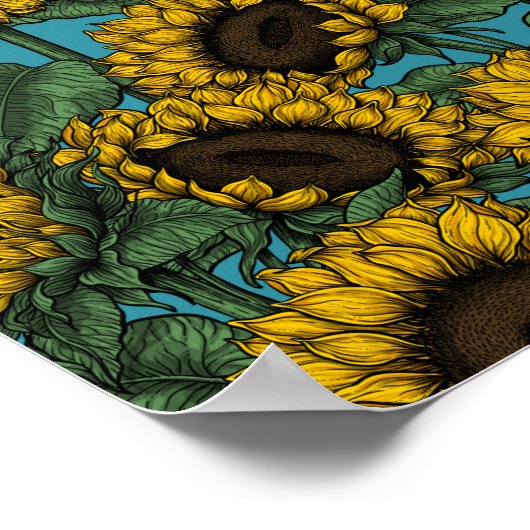 Sunflower field poster (Hoek)