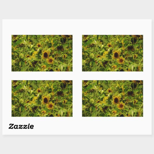 Sunflower field rechthoekige sticker (Vel)