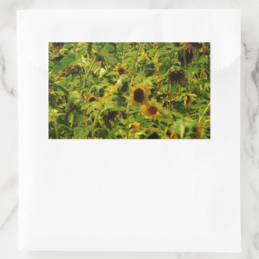 Sunflower field rechthoekige sticker (Tas)