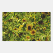 Sunflower field rechthoekige sticker (Voorkant)