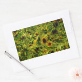 Sunflower field rechthoekige sticker (Envelop)