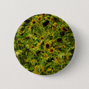 Sunflower field ronde button 5,7 cm