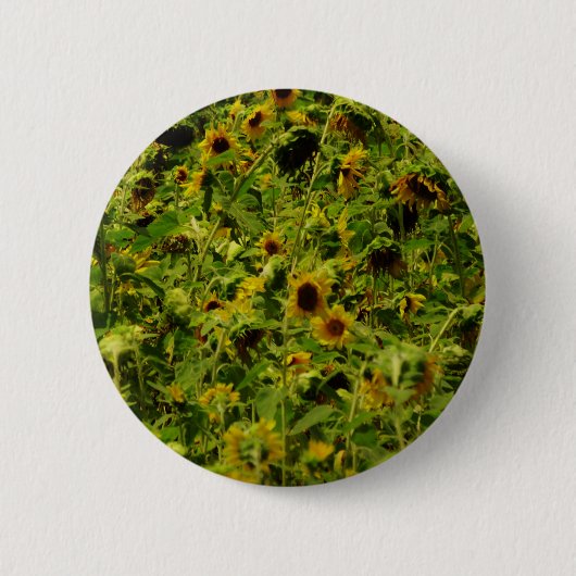 Sunflower field ronde button 5,7 cm (Voorkant)