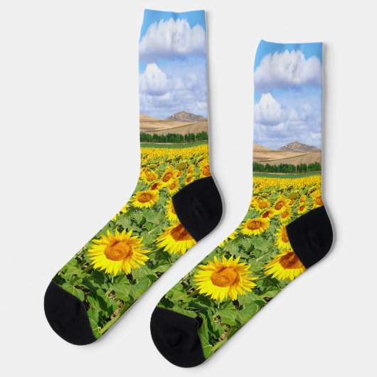 Sunflower field sokken (Links)