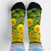 Sunflower field sokken (Top)