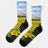 Sunflower field sokken (Links)