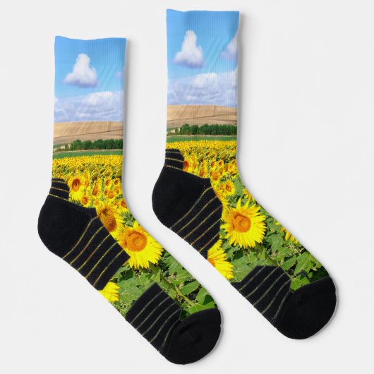 Sunflower field sokken (Rechts)