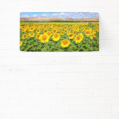 Sunflower field spandoek (Insitu)