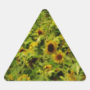 Sunflower field sticker