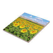Sunflower field tegeltje (Zijkant)