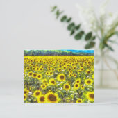 Sunflower Field Vincent Van Gogh Briefkaart (Staand voorkant)