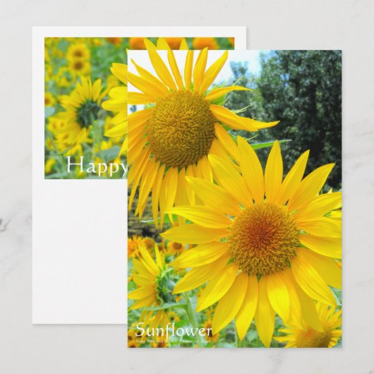Sunflower:Flat Greeting Card Kaart (Voorkant / Achterkant)