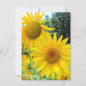 Sunflower:Flat Greeting Card Kaart (Voorkant)