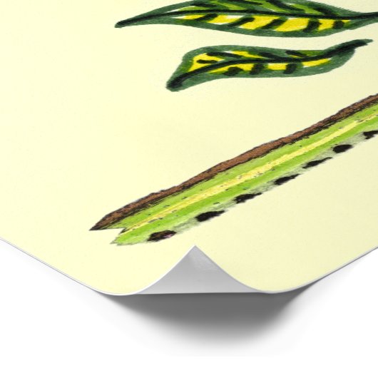 Sunflower Folk Pattern Poster (Hoek)