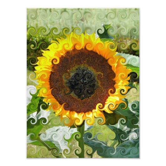 SUNFLOWER FOTO AFDRUK (Voorkant)