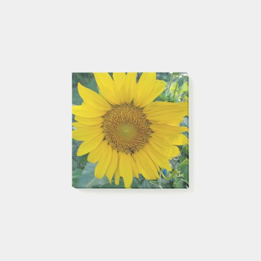 Sunflower Foto Post-it® Notes (Voorkant)
