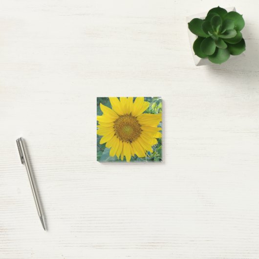 Sunflower Foto Post-it® Notes (Kantoor)