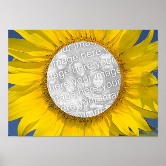Sunflower Foto Poster (Voorkant)