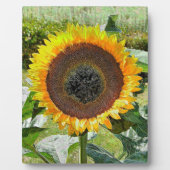 SUNFLOWER FOTOPLAAT (Voorkant)