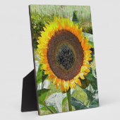 SUNFLOWER FOTOPLAAT (Zijkant)