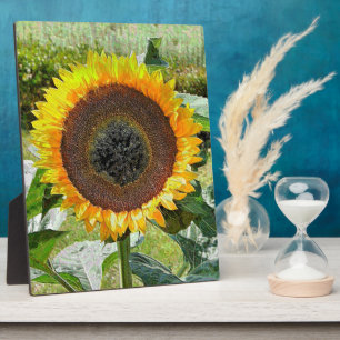 SUNFLOWER FOTOPLAAT