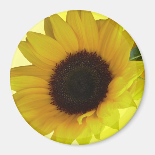 Sunflower Fridge Magnet Cheerful Flower Gift (Voorkant)